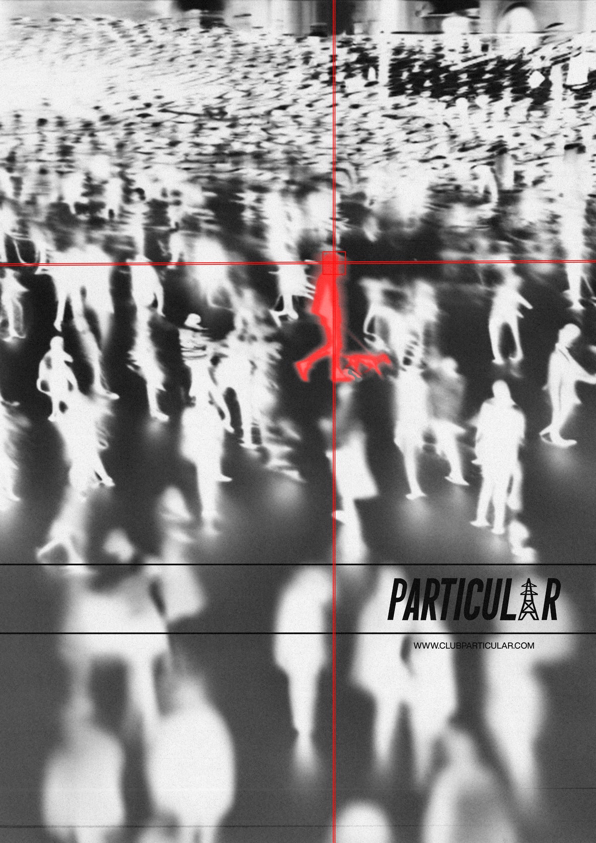 PARTICULARV5