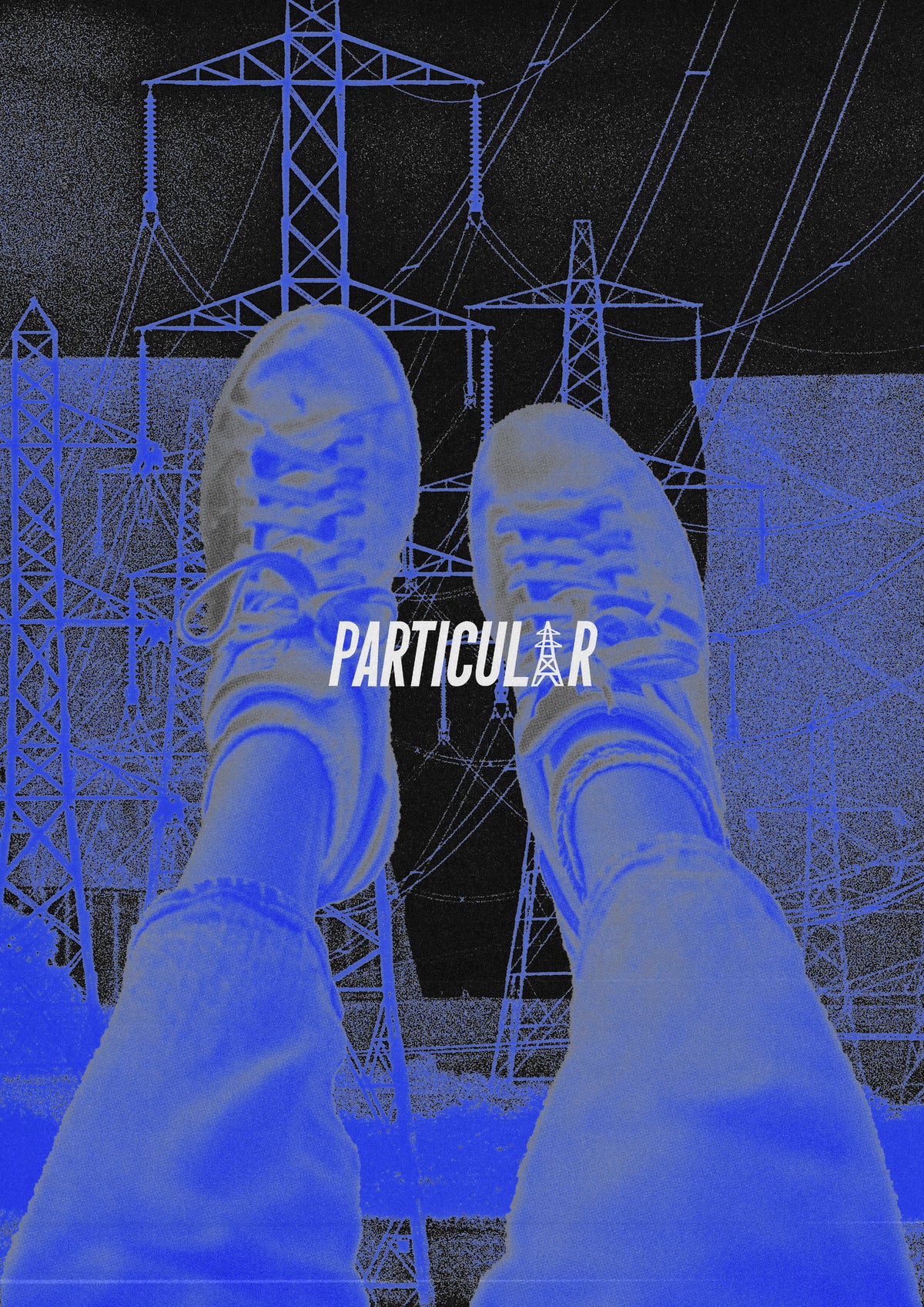 PARTICULARV3